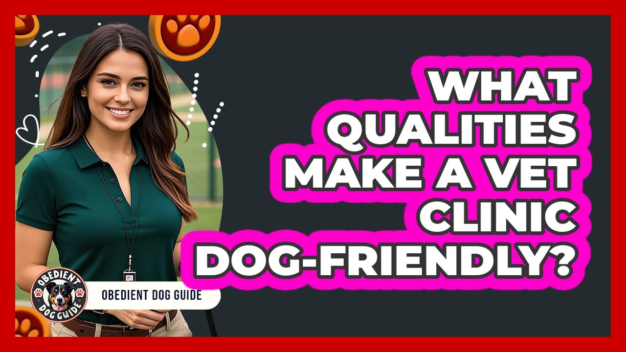 What Qualities Make A Vet Clinic Dog-Friendly?
