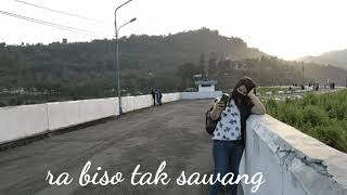 Story wa||snajan kowe ngilang #shorts