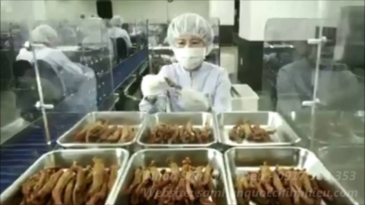 Quy trình chế biến Hồng Sâm Hàn Quốc | Nhân Sâm Đại Triều