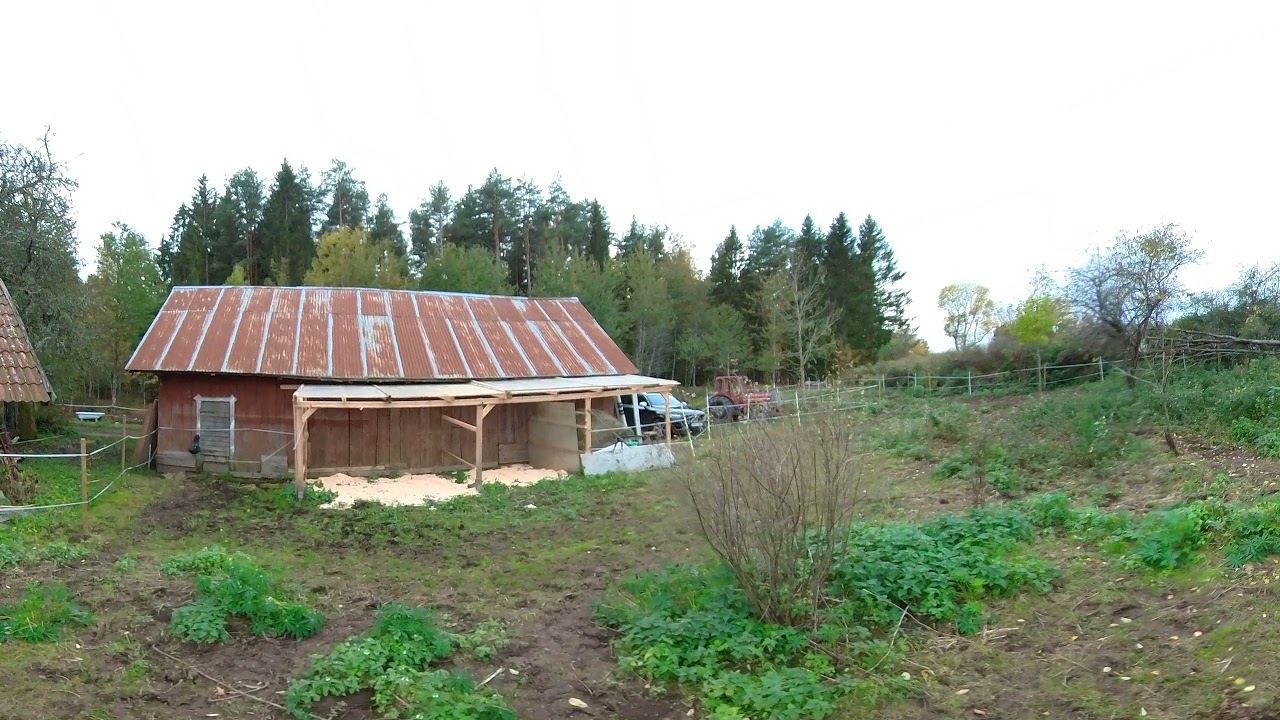 Lösdrift mindre vinterhage