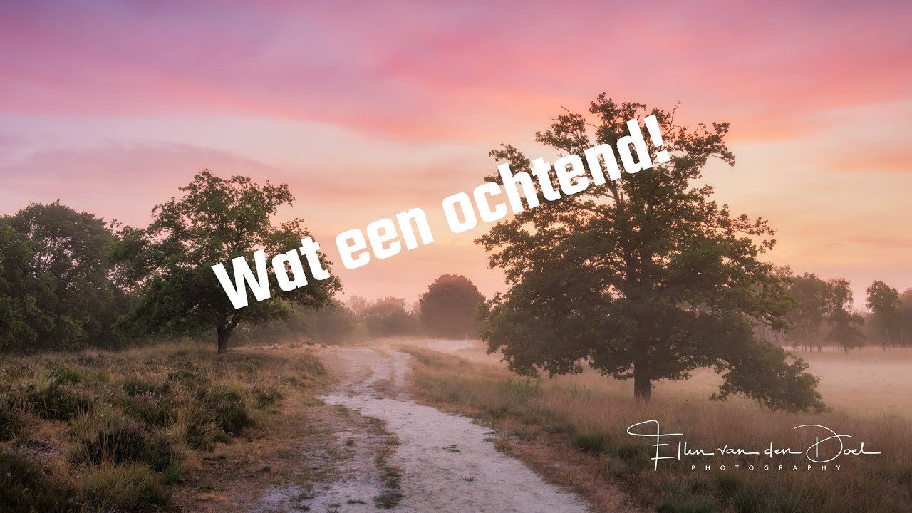 Wat een ochtend! #10
