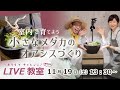 【YouTubeライブ教室】 室内で育てよう！ 小さなメダカのオアシスづくり 11月19日13:30～