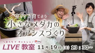 【YouTubeライブ教室】 室内で育てよう！ 小さなメダカのオアシスづくり 11月19日13:30～