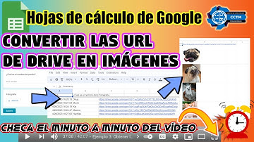 🤓+🖼️ Mostrar las imágenes capturadas en un formulario en una hoja de cálculo de Google | ¡Muy fácil!