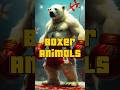 Boxer Animals from Every Country! 🥊🐾 | AI-Generated Animal Fighters #Shorts
