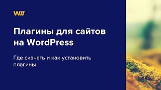 Плагины для сайта на wordpress. Урок 6 Плагины для сайта на wordpress. Урок 6