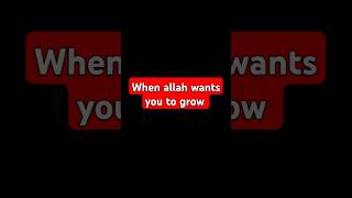 Steps for your growth 😇 #shorts #allah #viralshorts #islamic #hafizarham7