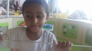 Sunday Fun Activities | Sunday FunDay #youtubevideo #video #fun