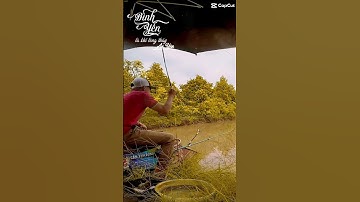 Báo cá cám R1 và R2 hồ mới trong hóc bà tó 🤣 #cầnthủđồngtháp #câuđài #mồicâu #câucá #camr1 #camr2