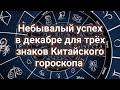 Эти три знака Зодиака по Китайскому гороскопу ждёт ошеломительный успех