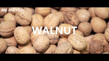 Walnut sorting