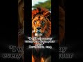 The Lord is helping you #wordofgod #godspurpose #godspromises #christianyoutube