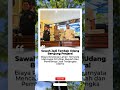 Ilegal, Sawah Jadi Tambak Udang Berujung Penjara