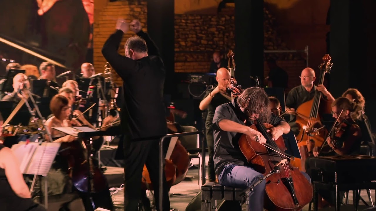 HAUSER On Sale Now YouTube