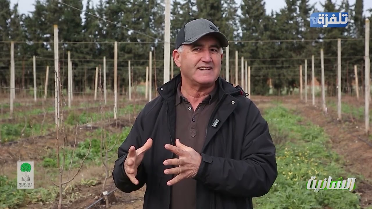 الحلقة 14 السانية essenia | الجزء 2