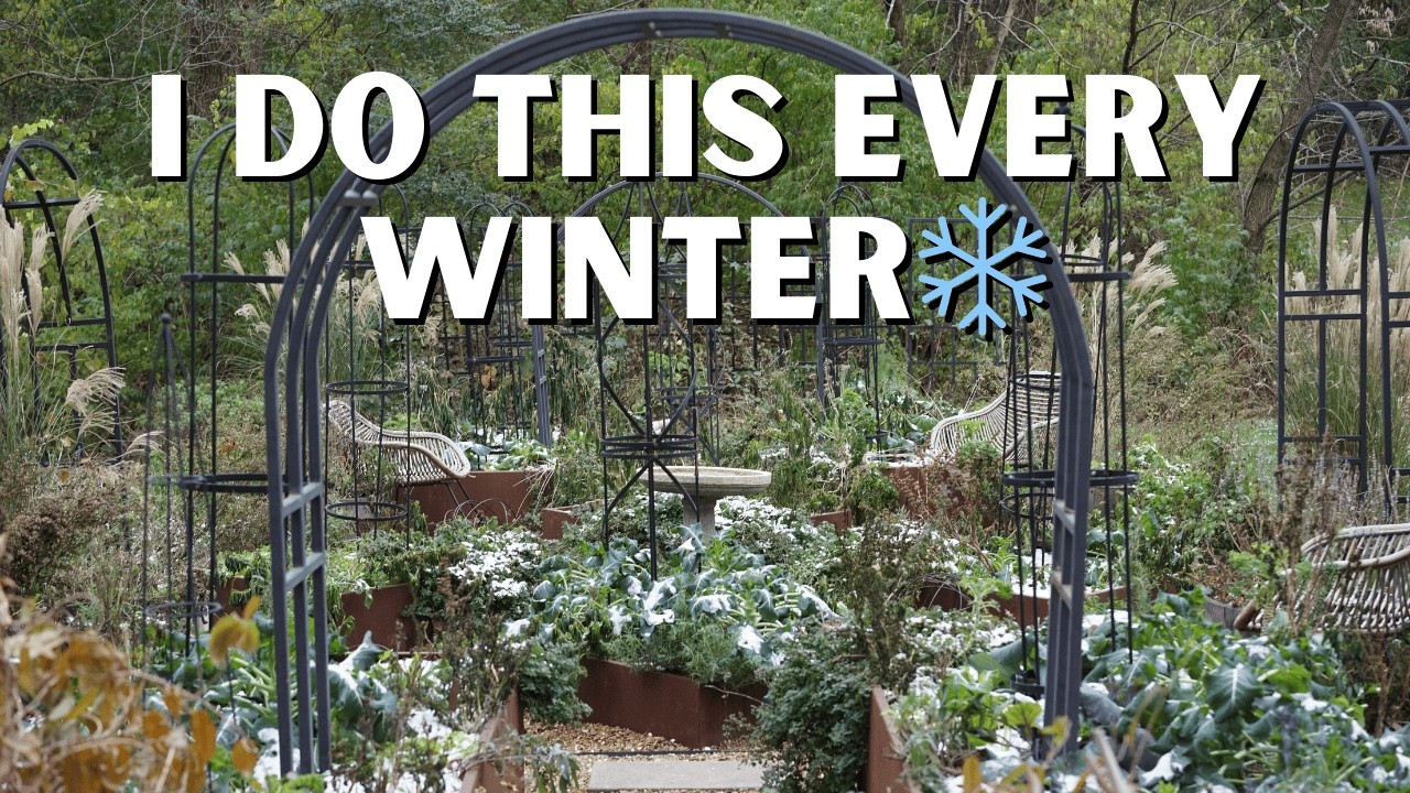 3 Things to Do Now to Get Your Raised Bed Garden Ready for Spring
