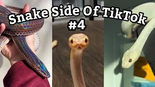 Snake Side Of TikTok #4