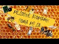 Сладкие и тёплые ароматы с мёдом🍯 Бюджетные аналоги на НИШУ и ЛЮКС✨Xerjoff, Dior, Lancome и другие.