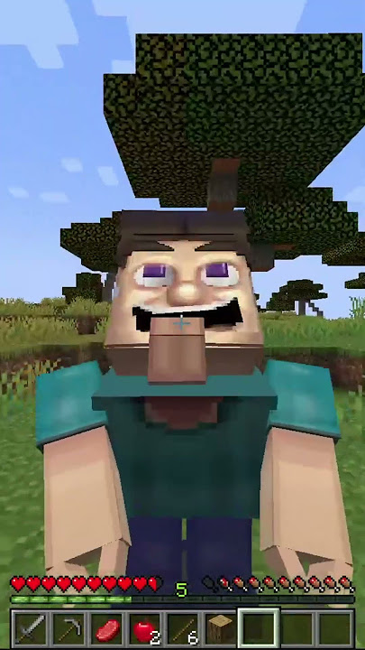 Have You Seen Grotesque Steve in Minecraft?