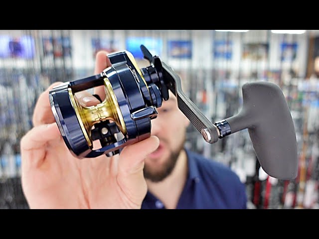 best reel for jig fishing Saltwater SL20 Jigging Striped Bass Fishing Best Trolling