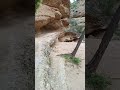 Río Chícamo fin del trayecto Murcia ♥️🦅🦂❤️ Juan Vicente Plaza García