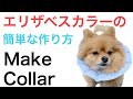 【簡単で安い】犬や猫のエリザベスカラーの作り方！ダイソーのシャンプーハット