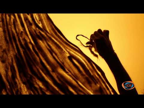 ქვიშის სამყარო - ბაყაყების შეჯიბრი (with English subtitles) | ქვიშაზე ხატვა