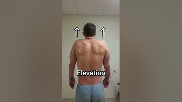 Learn all 10 SCAPULAR MOVEMENTS! #scapularstability #scapularmobility #scapularpain #shoulderpain