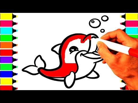 How to Draw a Cute Dolphin  Coloring Pages Animals  Baby Coloring Page