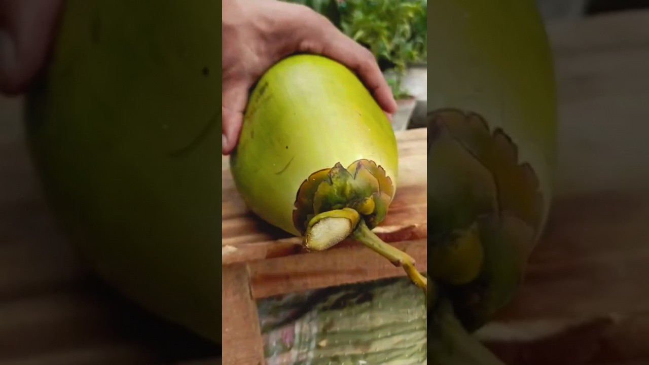 coconut cutting deffcience 🔪🥥