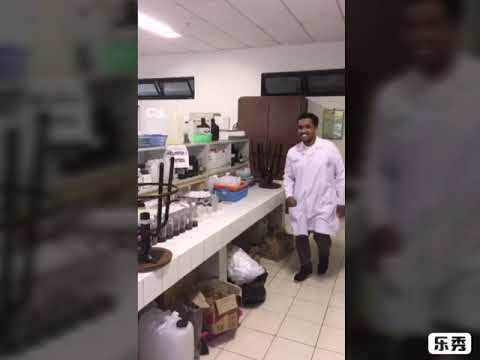Video: Laboratorium Umum