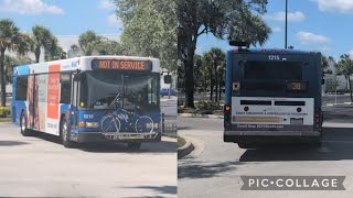 Hart bus #1215 on Route 38 leaving Netpark Transfer Center 