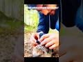 Others Animals Found on Camera… But This One is Impossible 😱