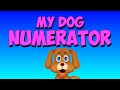 Understanding Numerators and Fractions