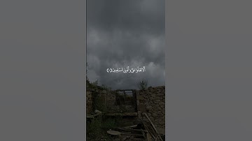تلاوة عطرة للقارئ ريان المحيسني