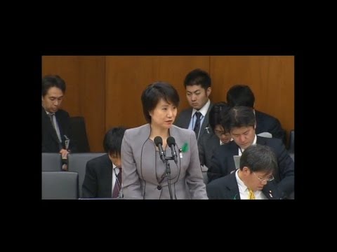 20130419　衆議院　厚生労働委員会　とかしきなおみ答弁②