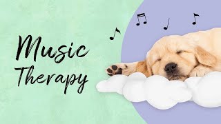 Music Therapy For Meditation And Relaxation [Full Tracks] | Royalty Free Background Music