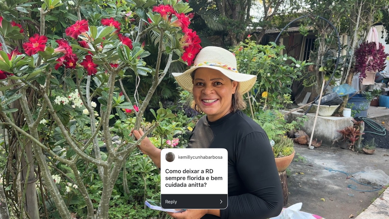 COMO DEIXAR A ROSA DO DESERTO SEMPRE FLORIDA E BEM CUIDADA | #ANITARESPONDE 27