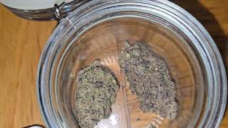 Huala vs Vasco - Who Wins? Blueberry Bannana vs Super Boof 👍🏽👎🏽 Lets Find Out!!