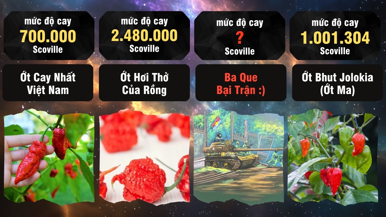 So Sánh: Những Thứ CAY Nhất Trên Thế Giới bạn Cần Biết