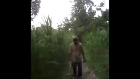 Video maling pangsit konyol gokil abizzz..!