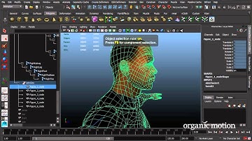 Motion Capture Practical Application Series: Part 4