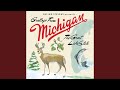 For the Widows in Paradise, For the Fatherless in Ypsilanti