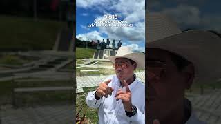 Quiero una novia. LyM Luis Beltrán Rincones