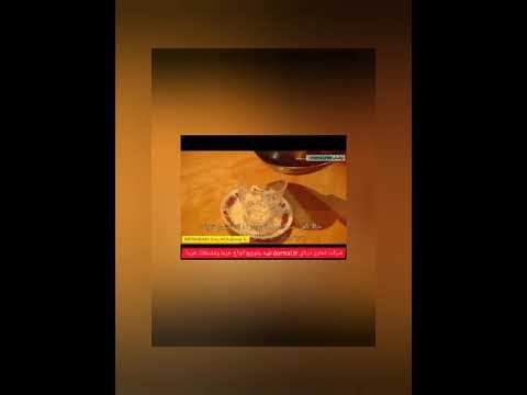 آموزش دم کردن قهوه هسته خرما