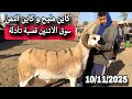 مباشرة من سوق الاتنين قصبة تادلة 10 11 25 مع تمن الحولي و النعجة و حولية
