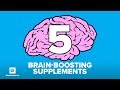 5 Brain-Boosting Nootropic Supplements | Doug Kalman Ph.D.