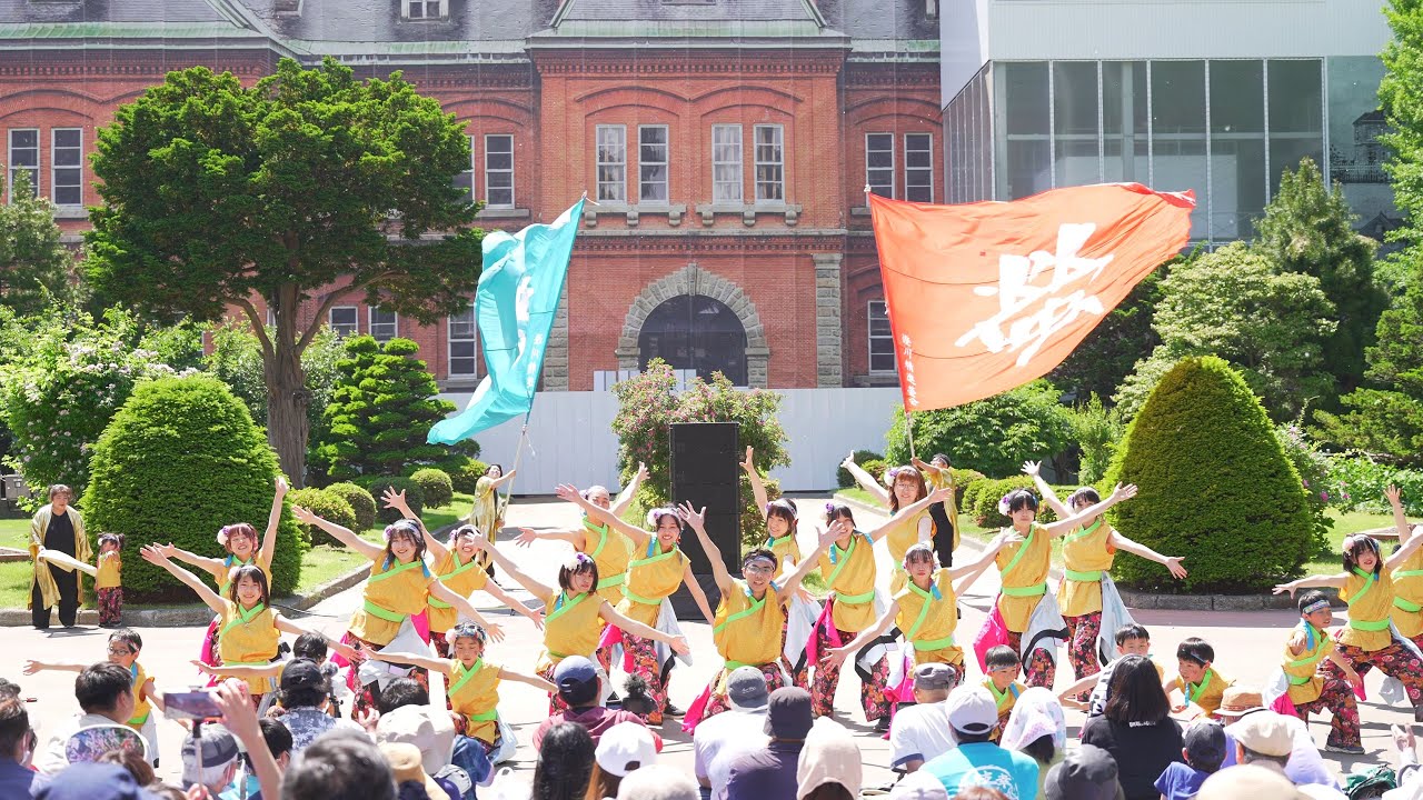 4K] 澄川精進螢会 YOSAKOIソーラン祭り 2024 土曜日 道庁赤れんが会場