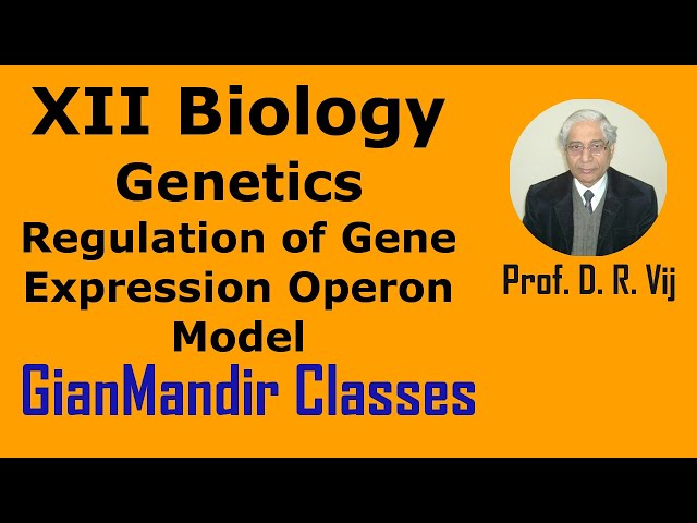 XII Biology | Genetics | Regulation of Gene Expression Operon Model by Inderpal Sir