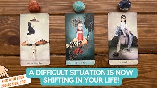A Difficult Situation in Your Life is Now Shifting | Timeless Reading